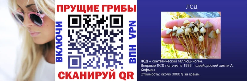 Псилоцибиновые грибы Cubensis Купить закладки Елизово